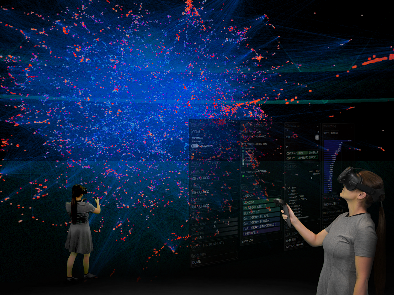 Data DiVR network visualization