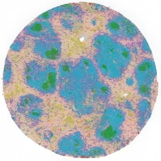 Cell population map of D and Q-treated spleen tissue from an aged mouse, showing blue clusters with green centers among pale pink regions