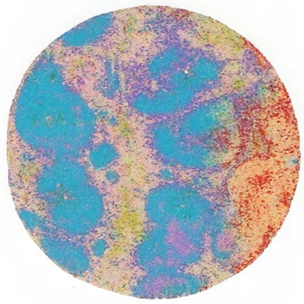 Cell population map of spleen tissue from an aged mouse, showing multiple blue clusters surrounded by pink regions