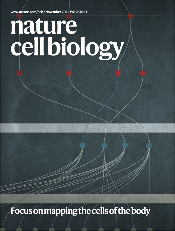 Nature cell biology | Focus on mapping the cells of teh body cover