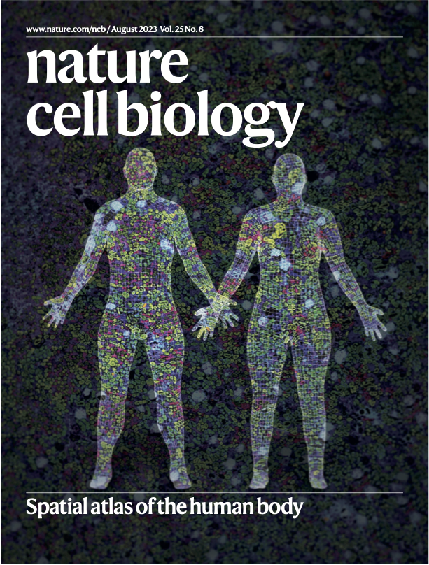 Cover of Nature, Spatial Atlas of the Human Body edition